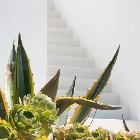 Dilion - Luxury In Antiparos *